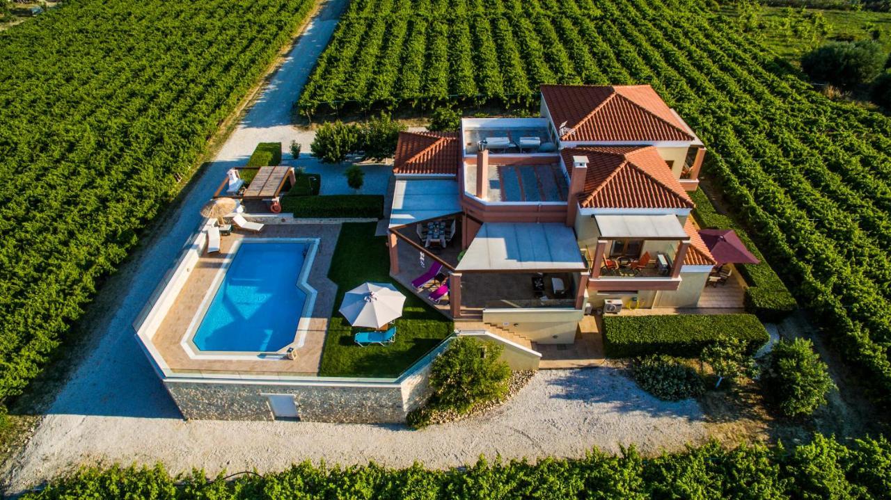 Вилла Cretan Vineyard Hill Kato Kalesia